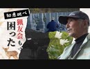 墓の“お供え物の花”ちぎられる被害　カメラマンが泊まり込み取材…犯人は鹿でした