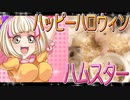キンクマハムスターの日常。11
