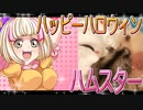 キンクマハムスターの日常。12