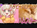 キンクマハムスターの日常。13