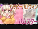 キンクマハムスターの日常。14