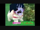 愛犬ロボ『うっせぇわ』