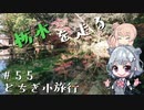 【CeVIO車載】栃木を走る#55　とちぎ小旅行