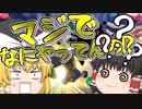 音速針鼠（風）なゆっくりと眼鏡のマリオカート8DX