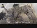 Dryer Vent Tech