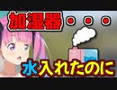 配信開始4時間後に加湿器の異変に気づいてしまったルーナ姫【姫森ルーナ/ホロライブ切り抜き】