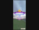 【ウマ娘】サジタリウス杯　グレードリーググループA　決勝　縦画面【プリティーダービー】