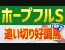 【ホープフルステークス2022】追い切りが高評価だった3頭は？【ホープフルS予想】