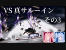 マルディアス冒険記【ミンサガ】22 真サルーイン その3