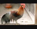 富山市ファミリーパーク