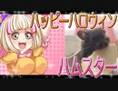 クロクマハムスターの日常。3