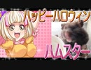 クロクマハムスターの日常。4