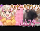 クロクマハムスターの日常。5