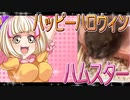 クロクマハムスターの日常。6