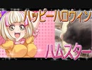 クロクマハムスターの日常。7