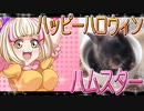 クロクマハムスターの日常。8