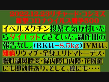 【2022年12月23日：リチャード・コシミズ Internet 講演 （ ニコニコ生放送 ）（ 改良版 ）】