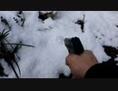 LCPで雪の庭を撃ってみる