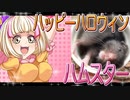 クロクマハムスターの日常。11