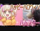 クロクマハムスターの日常。12