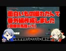 【刀剣乱舞偽実況】W監査官のブレワイプレイ　番外1