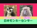 「のんびり」と「緊張」なおサルさん達(日本モンキーセンター)