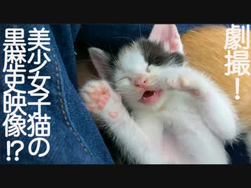 劇撮！美少女子猫の黒歴史映像