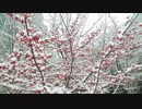 SNOW FAIRY STORY  □‍♀️