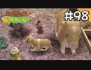 【実況】牧場物語Oh!ワンダフルライフを遊ぶいも#98