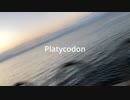 【v_flower】Platycodon【オリジナル】