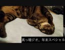 琴葉姉妹の真っ暗ジオ年末スペシャル2022