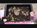 琴葉姉妹と行く釣行記録（暇潰し編part25）