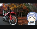 野呂山の紅葉【丸目CRFと今日”を”旅する】