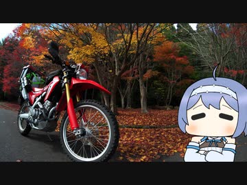 野呂山の紅葉【丸目CRFと今日”を”旅する】