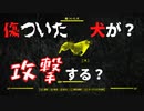 【フォールアウト４】傷ついた犬に出会った【ランダムイベント】