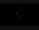SEIYA_セブンスター