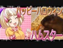 クロクマハムスターの日常。13
