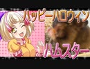 クロクマハムスターの日常。14
