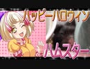 クロクマハムスターの日常。15