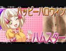 クロクマハムスターの日常。19