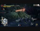 【モンハン】イソネミクニ討伐～狩猟生活6日目～【ライズ】