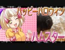 クロクマハムスターの日常。22