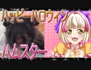 クロクマハムスターの日常。23