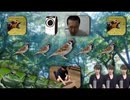 【sound only】大自然.snippet