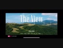the view
