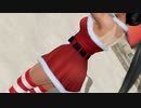 【DoaX3/紅葉】フォトパラダイス/レイファン・さあっ、勝負!/サンタA