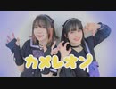 【 シキただ 】カメレオン【 踊ってみた 】