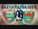 闇 / サエギン & ワイキン