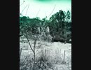 テロの歴史完全解説