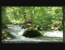 【癒し】渓流BGM【作業用】
